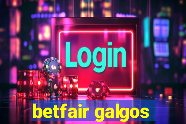 betfair galgos